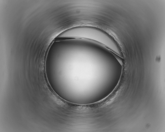 X0000090751081200708172022