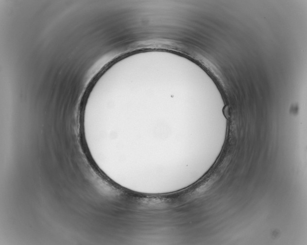 X0000090751082200708172022