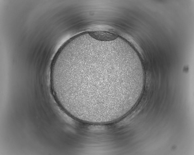 X0000090751083200708172022