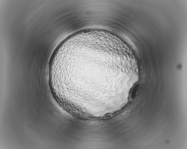 X0000090751084200708172022