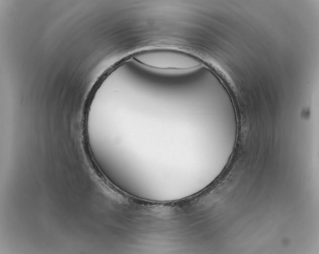X0000090751085200708172022