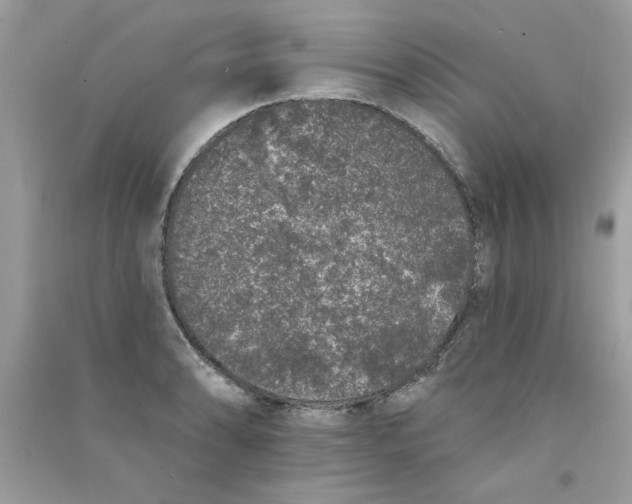 X0000090751086200708172022