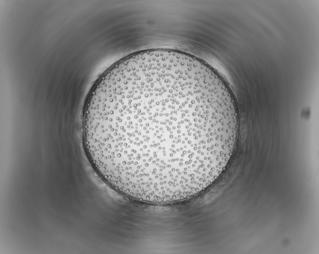X0000090751088200708172022