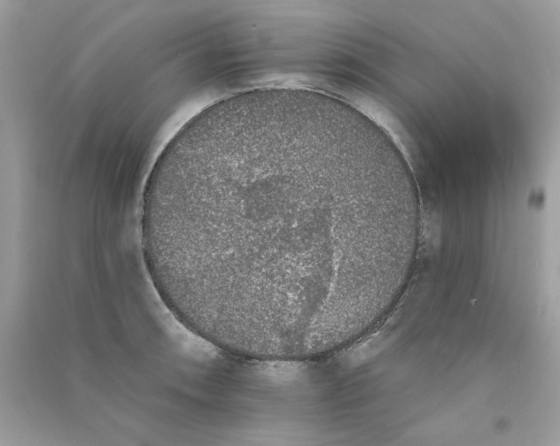 X0000090751090200708172022