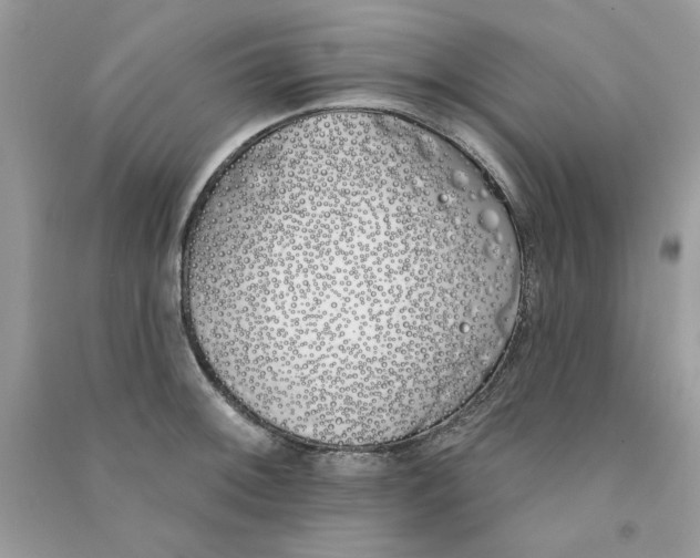 X0000090751092200708172022