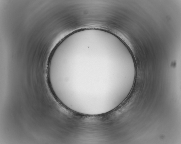 X0000090751093200708172022