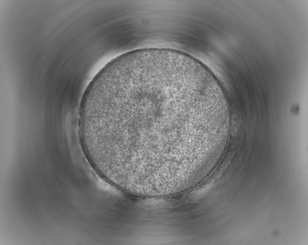 X0000090751094200708172022
