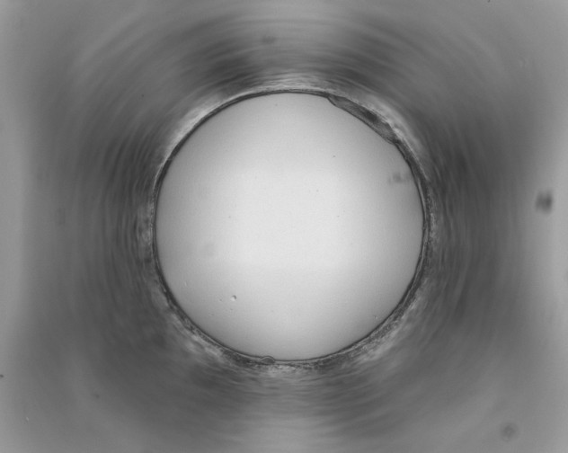 X0000090751097200708172022