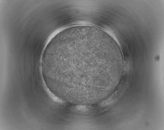 X0000090751098200708172022