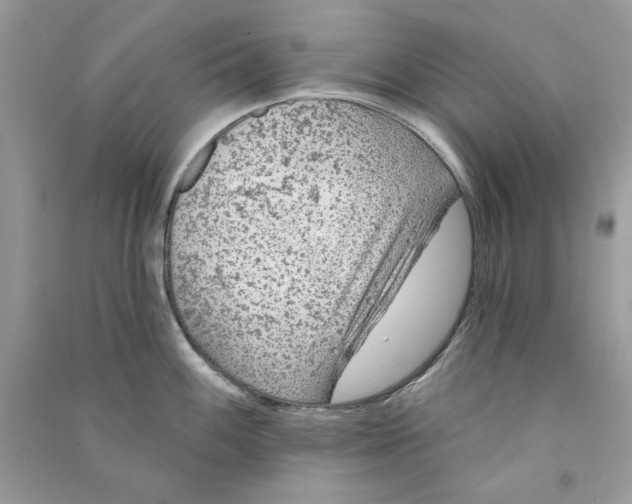 X0000090751100200708172022