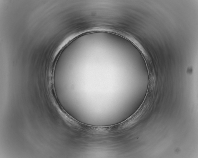 X0000090751101200708172022