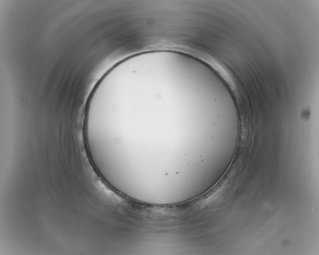 X0000090751102200708172022