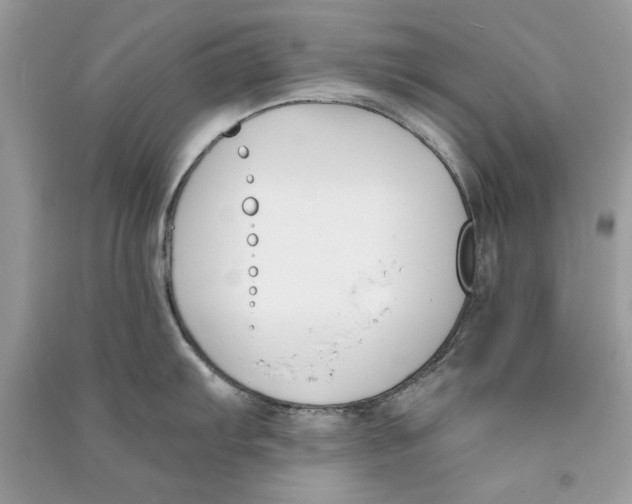 X0000090751103200708172022