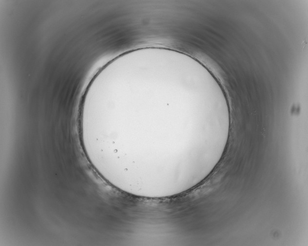 X0000090751104200708172022