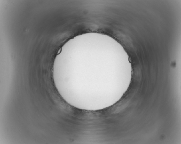 X0000090751105200708172022