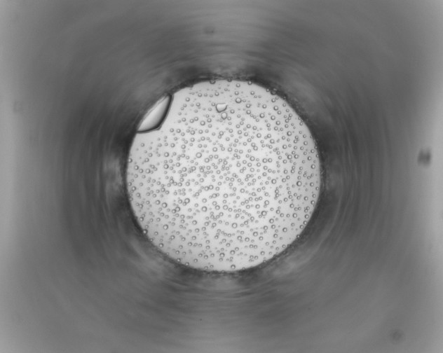 X0000090751106200708172022