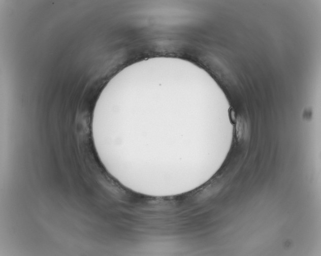 X0000090751107200708172022