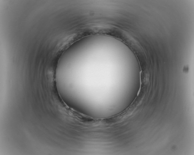 X0000090751108200708172022