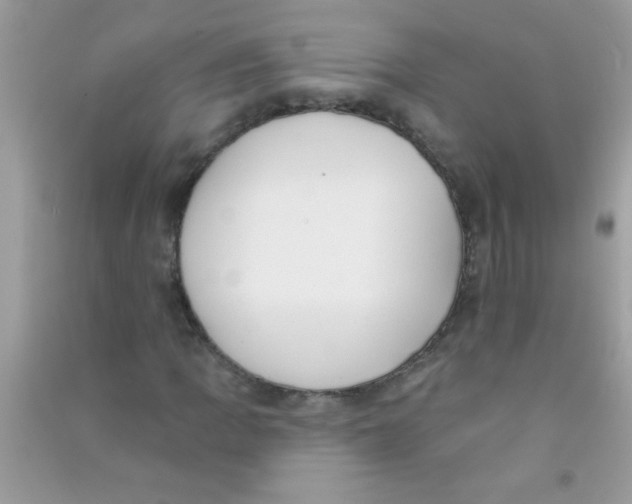 X0000090751109200708172022