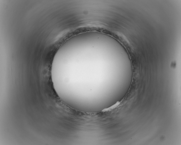X0000090751110200708172022