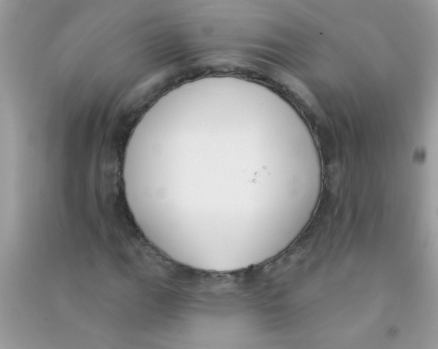 X0000090751111200708172022