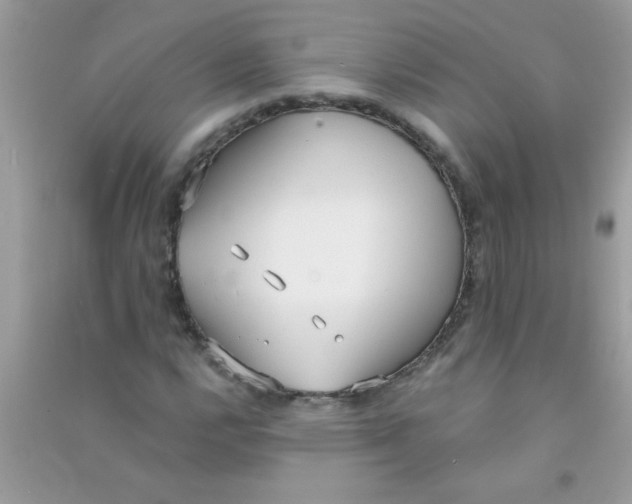 X0000090751112200708172022