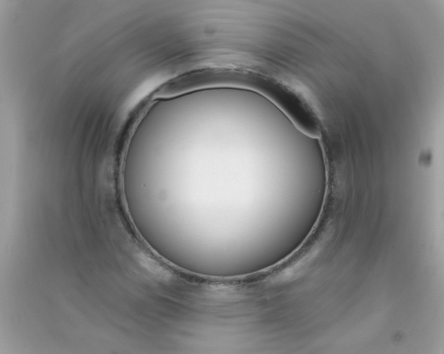 X0000090751114200708172022