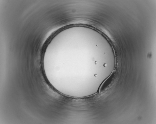 X0000090751116200708172022