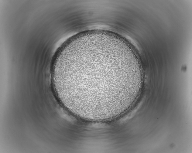 X0000090751117200708172022