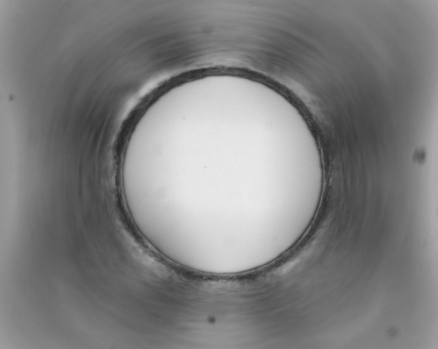 X0000090751118200708172022