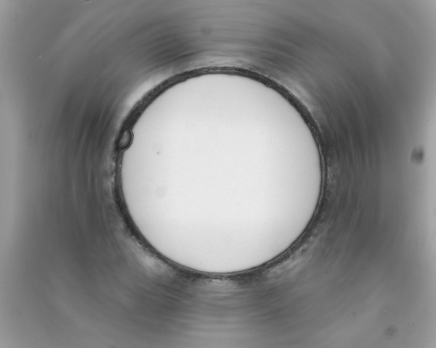 X0000090751119200708172022