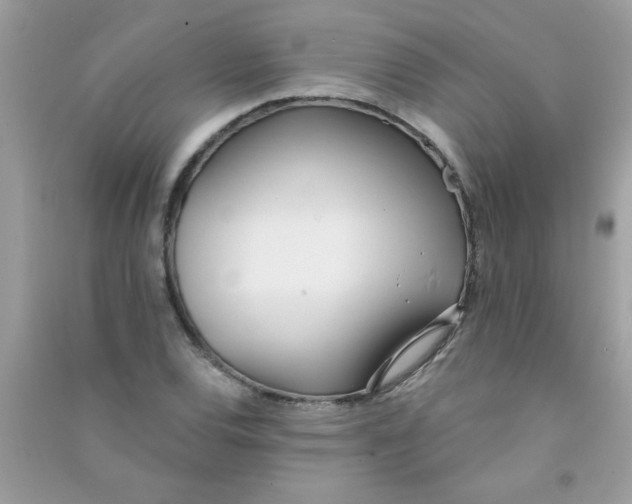 X0000090751120200708172022
