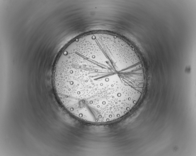 X0000090751121200708172022