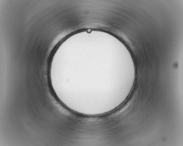 X0000090751122200708172022