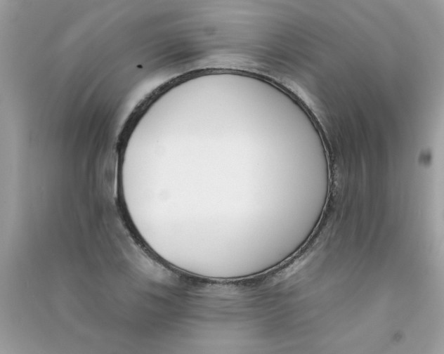 X0000090751123200708172022