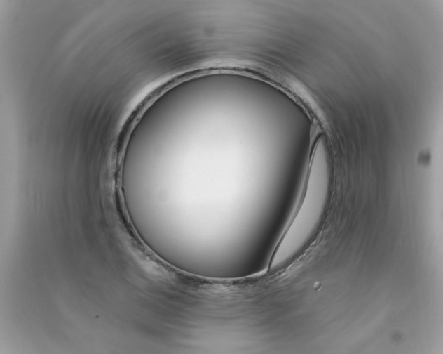 X0000090751124200708172022
