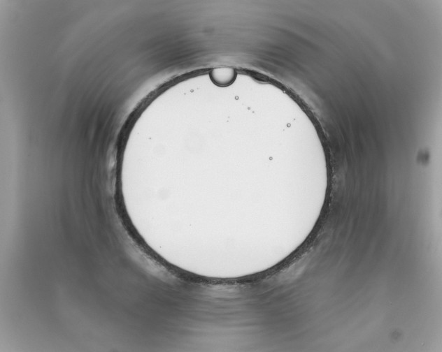 X0000090751126200708172022