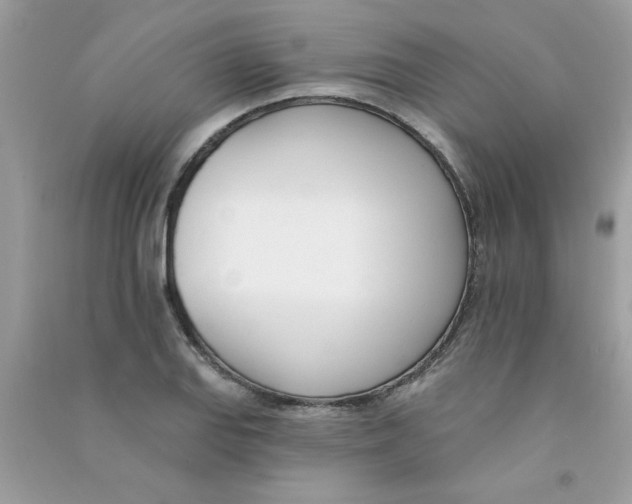 X0000090751127200708172022