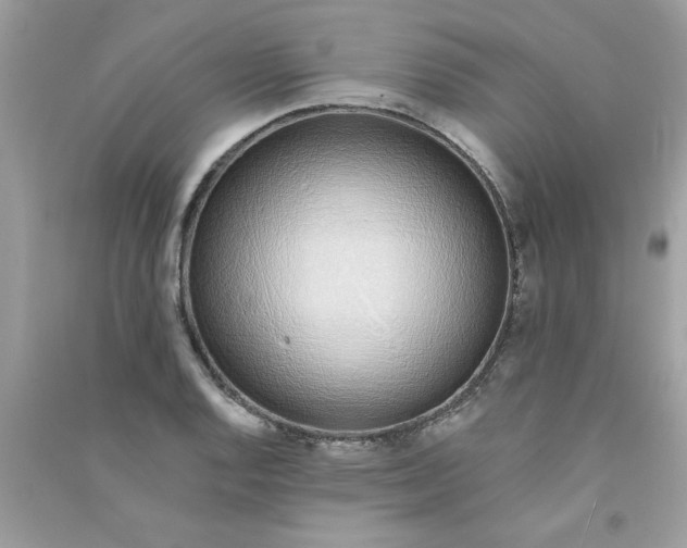 X0000090751128200708172022