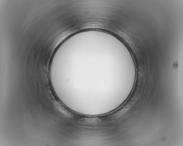 X0000090751129200708172022