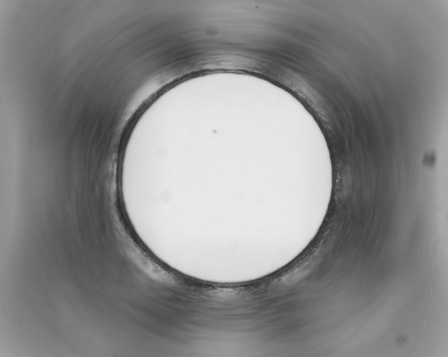 X0000090751130200708172022