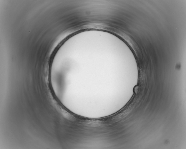 X0000090751131200708172022