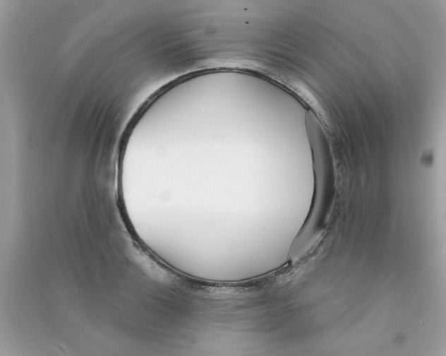 X0000090751132200708172022