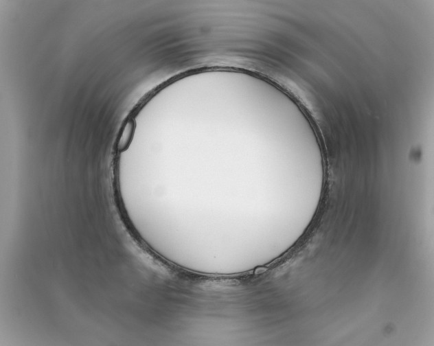X0000090751133200708172022