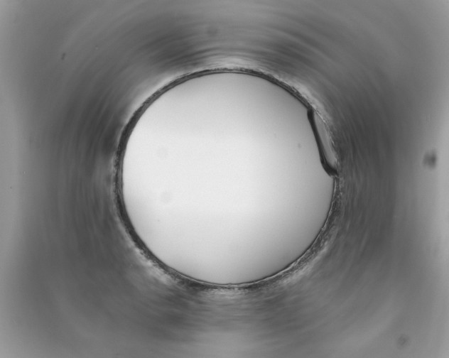 X0000090751134200708172022