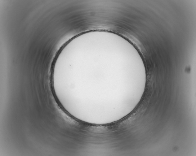 X0000090751135200708172022