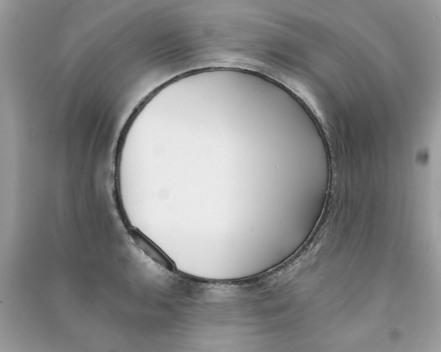 X0000090751136200708172022