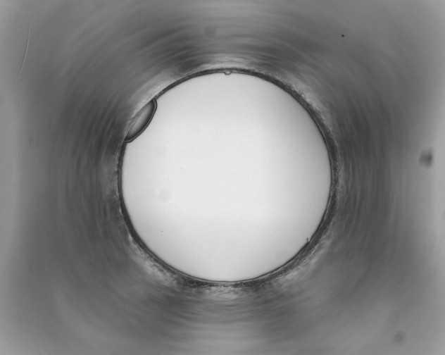 X0000090751137200708172022