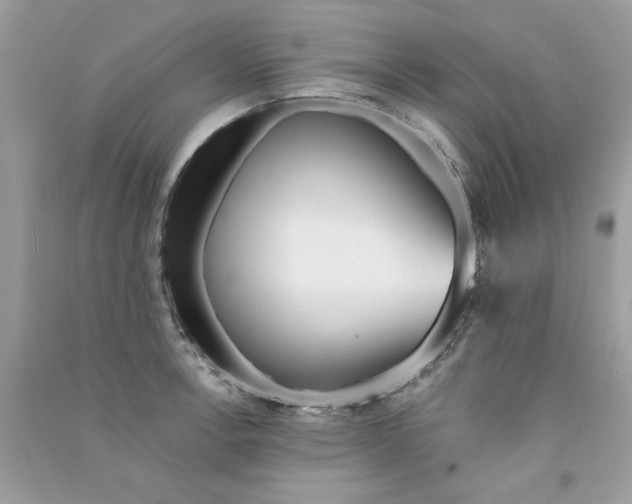 X0000090751138200708172022