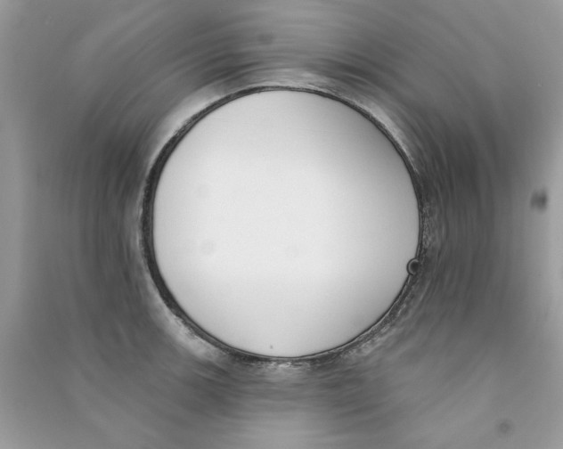 X0000090751139200708172022